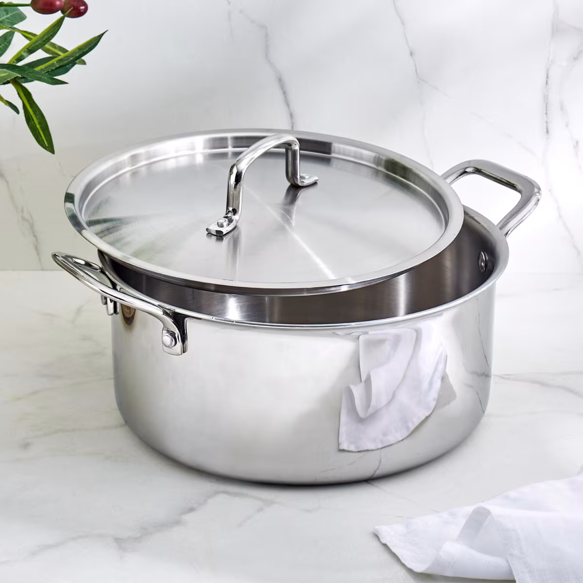 Valeria Carin Stainless Steel Induction Compatible Induction Compatible Casserole with Lid - 5.6L in Silver