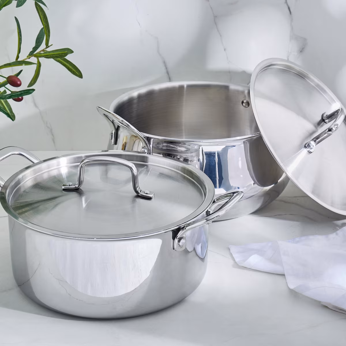 Valeria Carin Stainless Steel Induction Compatible Induction Compatible Casserole with Lid - 5.6L in Silver