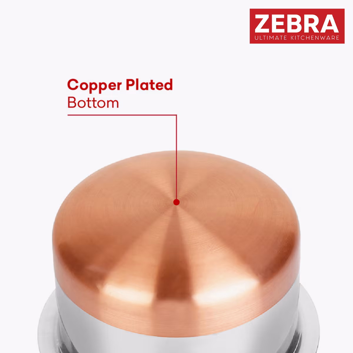 ZEBRA Stainless Steel Copper Bottom Tope - 1L in Silver