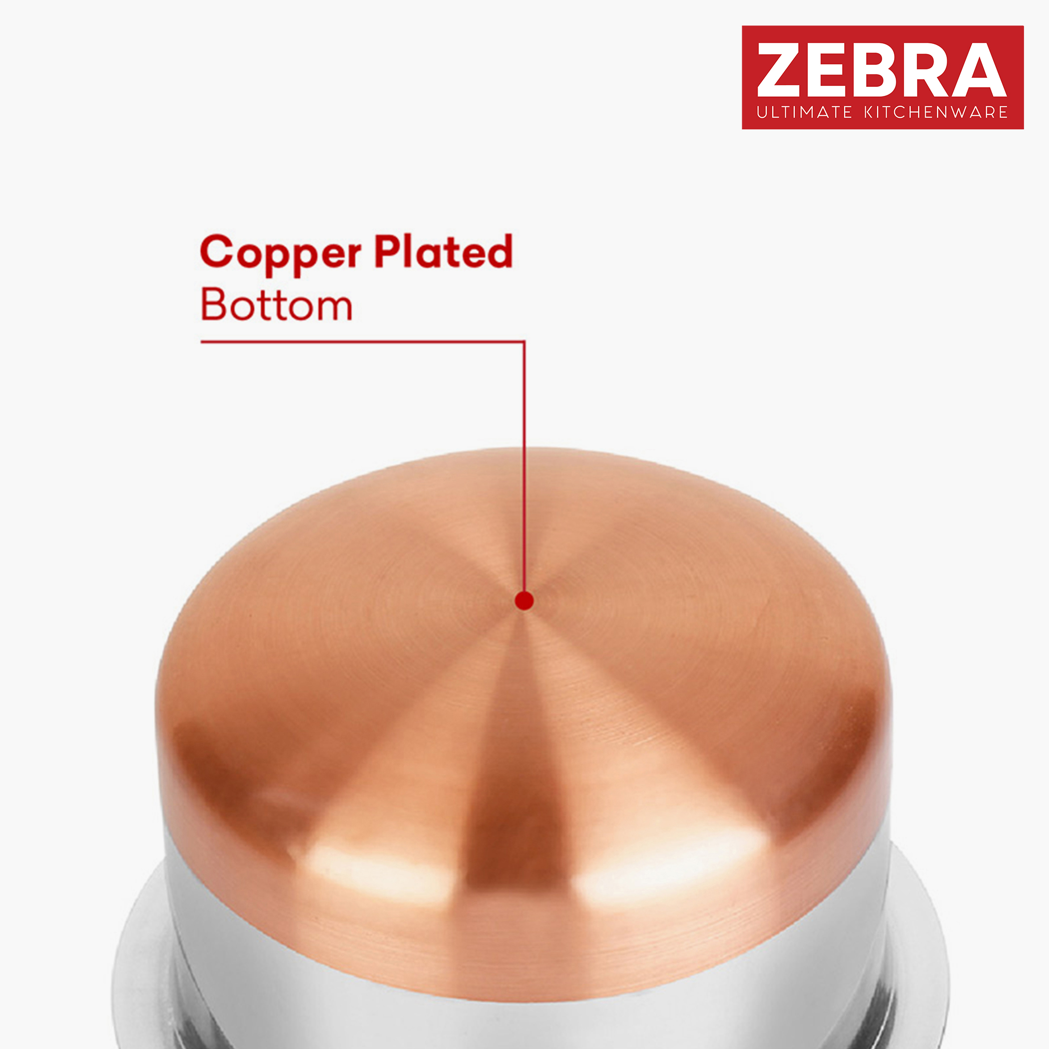 ZEBRA Stainless Steel Copper Bottom Tope - 1L in Silver