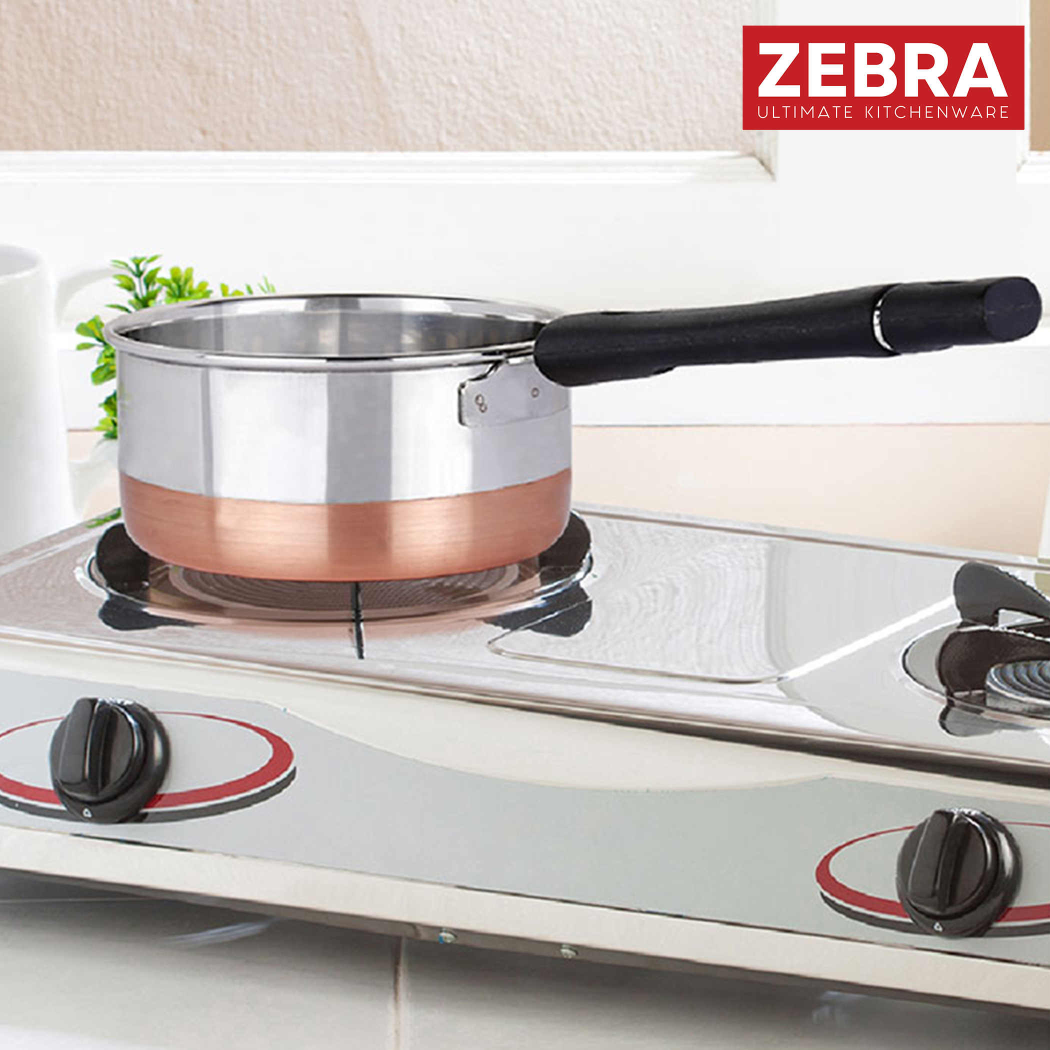 ZEBRA Stainless Steel Copper Bottom Saucepan - 2L in Silver