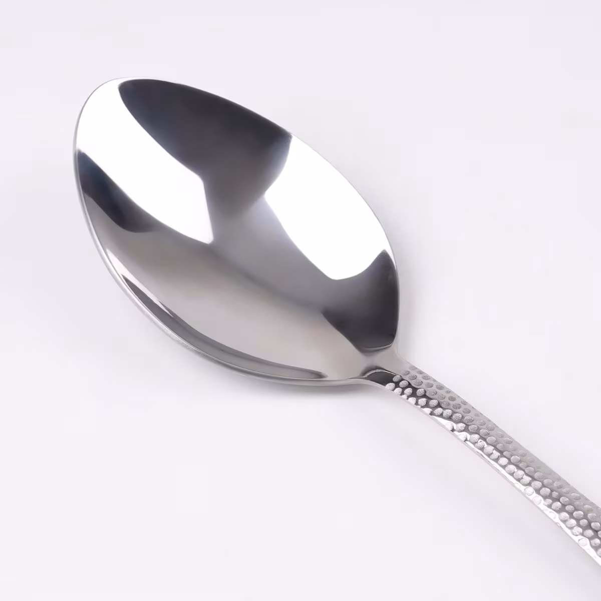 Glister Elke Stainless Steel Serving Spoon in Silver