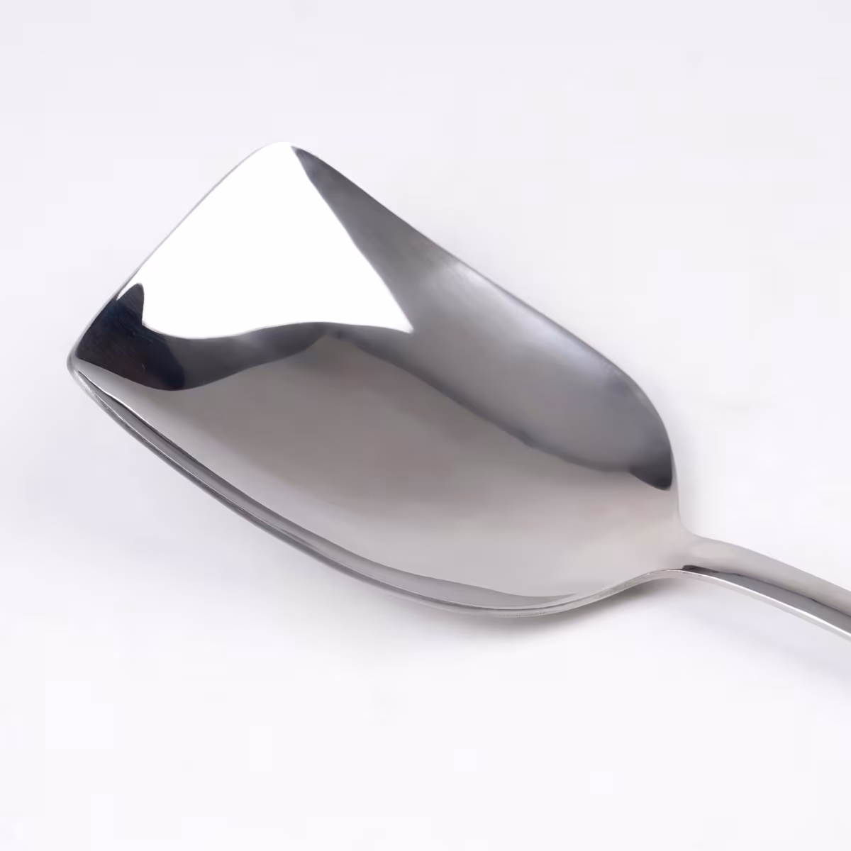 Glister Rosemary Stainless Steel Rice Spoon in Silver