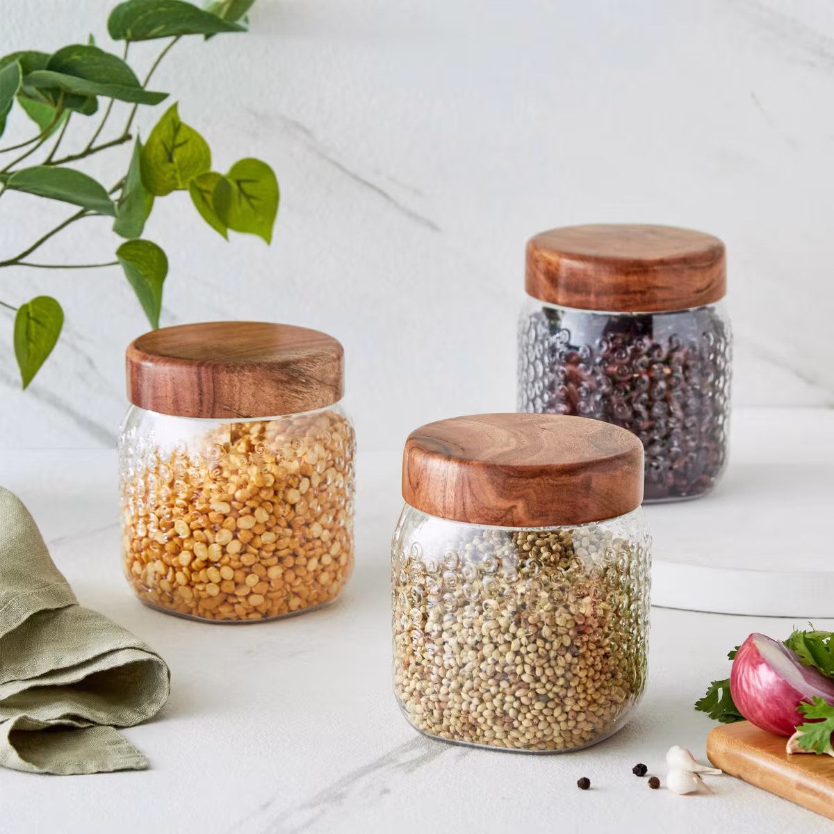 Corsica Elfin Set of 3 Wooden Lid Pet Jars - 650ml in Multicolour