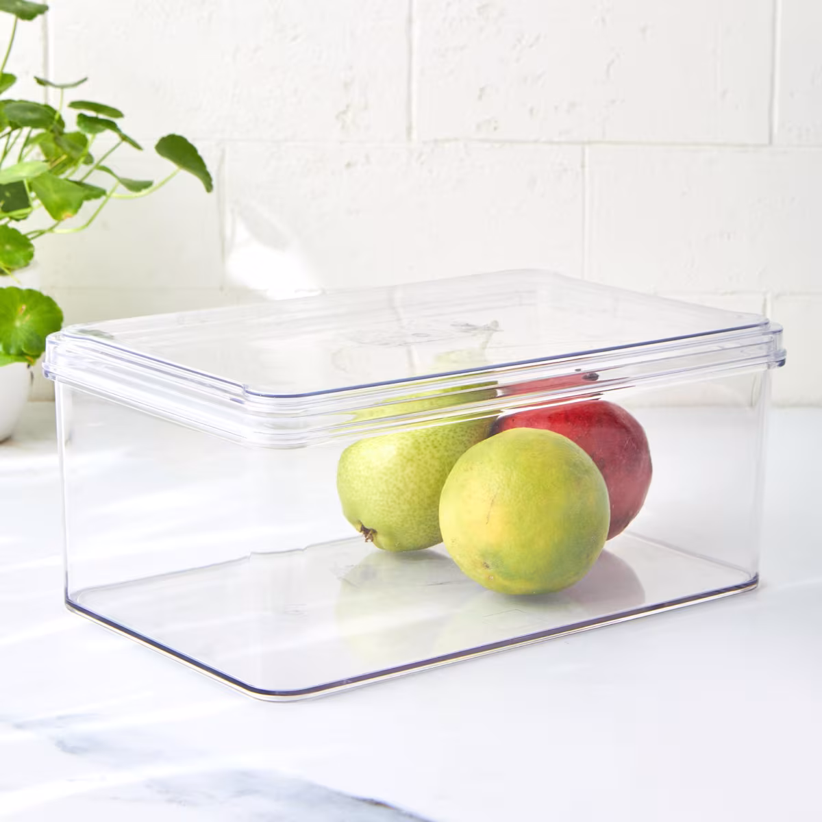 Orion Elfin Fridge Storage Box with Lid in Transparent