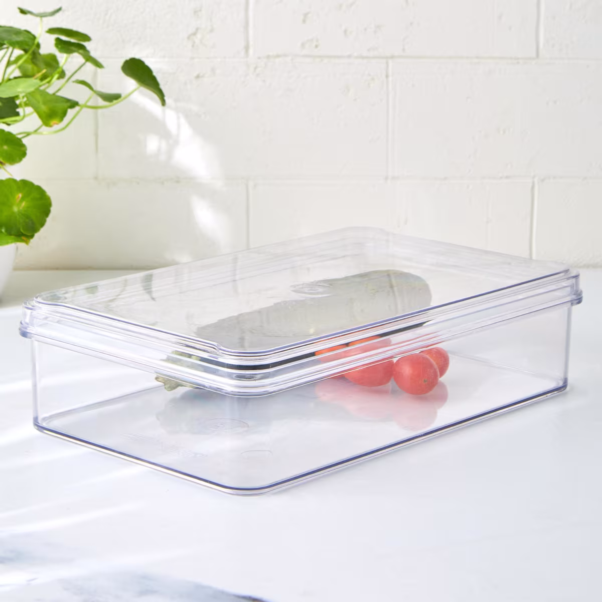 Orion Elfin Fridge Storage Box with Lid in Transparent