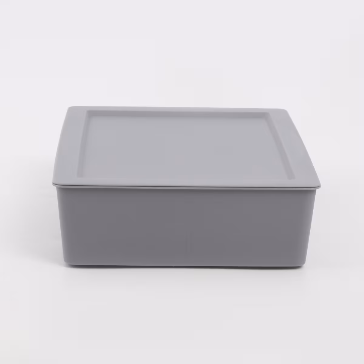 Regan Ashley Polypropylene Drawer Organizer with Lid in Grey